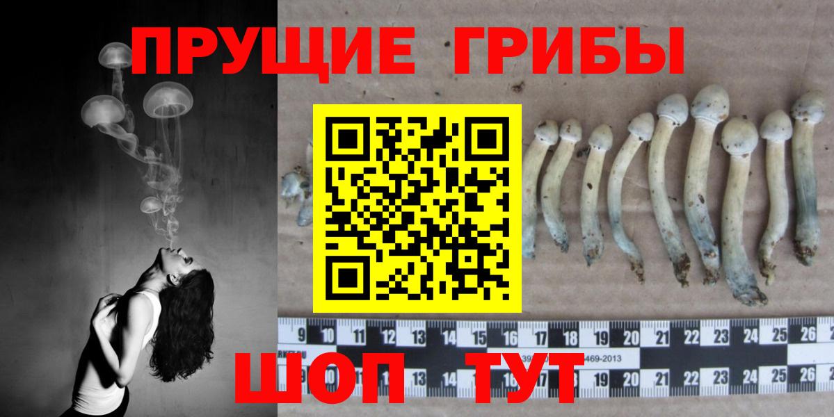 Псилоцибиновые грибы мухоморы  Галлюциногенные грибы GOLDEN TEACHER  Луга  Вход с VPN 