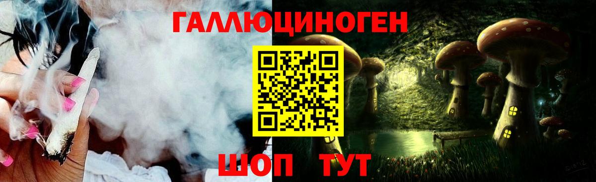 Галлюциногенные грибы Cubensis Луга